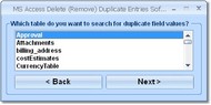 MS Access Delete (Remove) Duplicate Entries Software screenshot